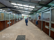 CH290522-103 - Charlie Hills Stable Visit